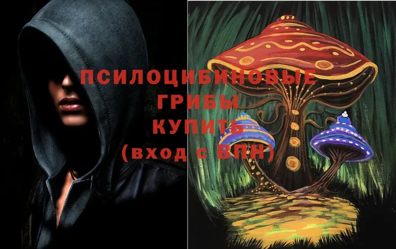 Галлюциногенные грибы Cubensis  Белорецк 